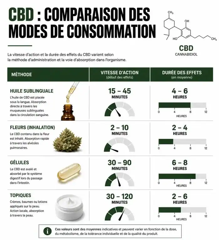 Infographie comparative des modes de consommation du CBD et leurs effets sur le bien-être